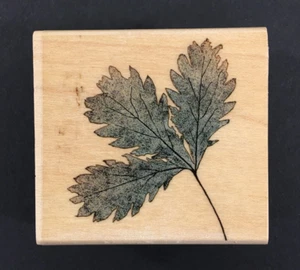 Hero Arts Poetic Leaf Print Wood Mounted Rubber Stamp USED - Picture 1 of 6