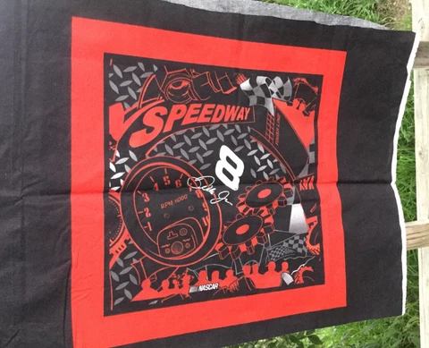 2003 NASCAR #8 Dale Earnhardt #9968 Speedway Pillow Fabric Panel Spring Industry Cover