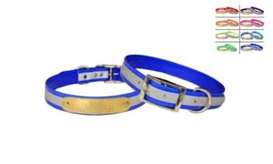 WARNER SPORT REFLEKTIERENDES DAYGLO HUNDEHALSBAND BLAU 23" KOSTENLOSE GRAVUR MESSING AUSWEISSCHILD - Bild 1 von 6