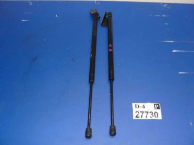 Amortiguador de puntal de maletero RODEO 1998 2004 soporte de puerta trasera lado conductor pasajero Foto 1 de 4