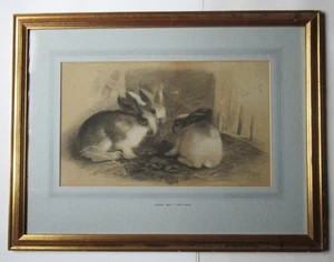 Joseph Wolf, seltene Originalzeichnung von drei Hasen, signiert & datiert 1875 gerahmt - Bild 1 von 11