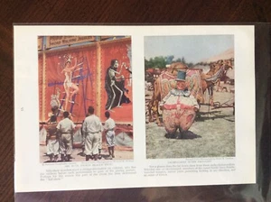 1931 vintage Original magazine photo The Circus Performer The Obesity Clown - Picture 1 of 1