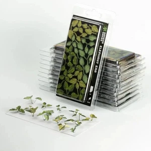 Gamers Grass Laser Plants - Elephant Ear - Picture 1 of 6