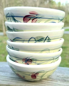 Gail Pittman Maypop Soup Cereal Bowl Set of 6 Bowls EUC - Picture 1 of 3
