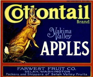 Stampa artistica etichetta Selah Washington State Cottontail Bunny coniglio mela frutta cassa - Foto 1 di 1