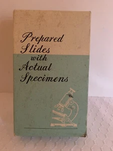 Children’s Prepared Slides With Actual Specimens, Science, Vintage 1960 Japan - Picture 1 of 7