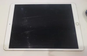 AS IS Apple iPad Pro 1st Gen A1709 256GB WIFI + 4G 10.5 AS IS #i256 - Afbeelding 1 van 4