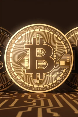 Bit Coin Digital Independent Money Print Wall Art Home Decor - POSTER 20x30 - Image 1 of 4