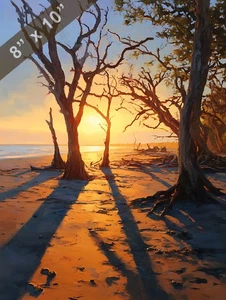 Driftwood Beach trees silhouetted in golden light 8x10 Matte Print - Picture 1 of 8