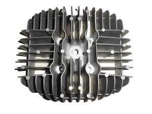 Cylinder head 40 mm 50ccm Kreidler RS-B RSH-B type K 54/503 Mustang-Cross type K54 - Picture 1 of 13