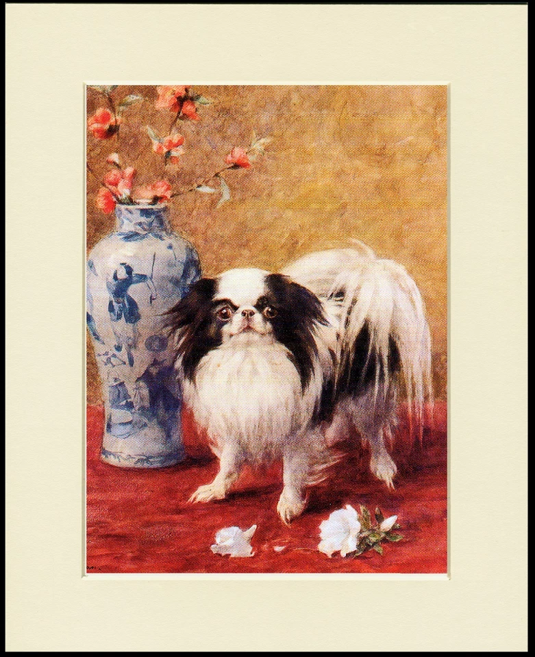 JAPANESE CHIN AND VASE OF FLOWERS LOVELY DOG PRINT MOUNTED READY TO FRAME - Image 1 of 1