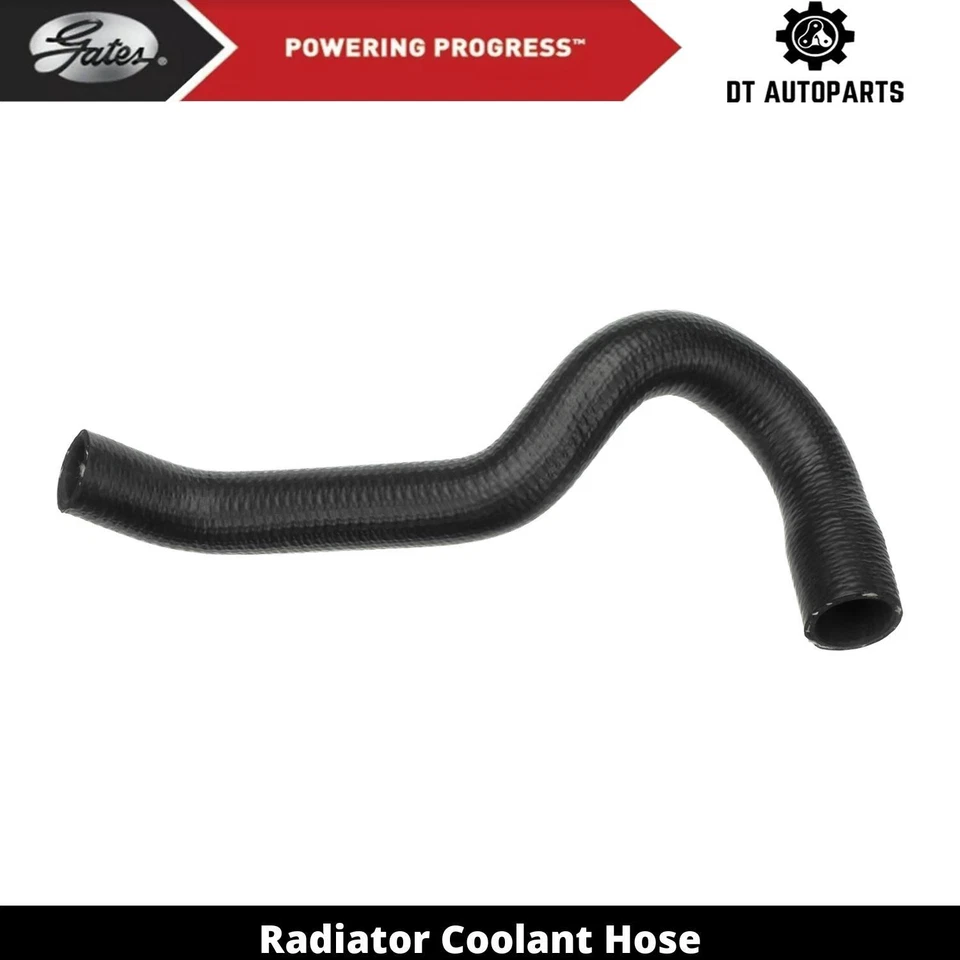 Manguera de refrigerante de radiador de gas V6 2,8 L para Chevrolet S10 1983-1993 puertas inferiores 1984 Foto 1 de 4