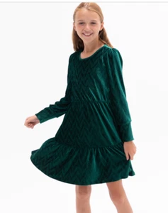 Rare Editions Big Girls Textured Velvet Tiered Dress Hunter Size 16 - Picture 1 of 1