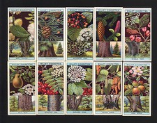 CIGARETTE CARDS. Wills Tobacco. FLOWERING TREES & SHRUBS. (1924). (Full Set).