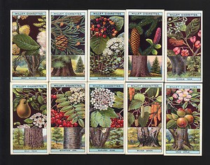 CIGARETTE CARDS. Wills Tobacco. FLOWERING TREES & SHRUBS. (1924). (Full Set).
