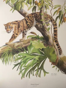 Limited Edition Signed Silkscreen Print "CLOUDED LEOPARD" by Arthur Singer - Picture 1 of 11