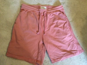 Free Planet Women's Salmon Drawstring Waist Chino Shorts SZ 34/L 100% Cotton EC - Picture 1 of 3