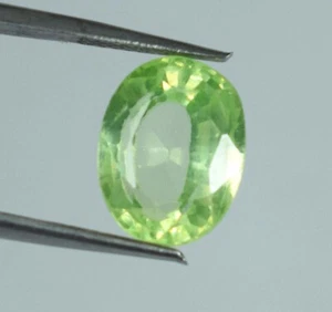 Peridoto Pakistan Naturale 6,05 Ct Gemma Ovale Certificato B66111 Nuovo Prodotto - Foto 1 di 4