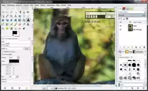 GIMP Portable 2024 on USB stick Photo Editing Software Graphic design editing - Picture 1 of 7