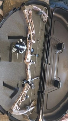 Arco compuesto Elite Foto 1 de 4