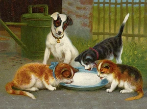 SMOOTH FOX TERRIER CHARMING  DOG WATCHES 3 CATS DRINK MILK GREETINGS NOTE CARD - Picture 1 of 1