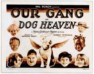 Dog Heaven Lobby Card From Jean Darling Jay R Smith Mary Joe Old Movie Photo