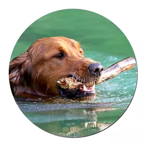 GOLDEN RETRIEVER DOG PET Pendant Charm On 925 Sterling Silver 20" necklace Chain - Picture 1 of 9