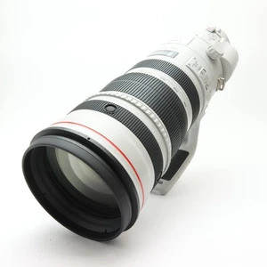 Canon EF 200-400mm F/4L IS USM Built-in Extender 1.4X (Canon EF) -Near Mint- #103 - Bild 1 von 12