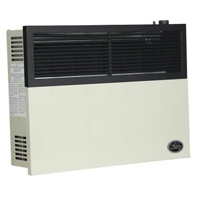 Ashley Hearth Products 17,000 BTU Direct Vent Liquid Propane Wall Mount Heater - Image 1 of 4