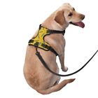 San Diego Chargers Reflective Dog Harness +traction Rope Soft Mesh Fabric M-XL Only $15.88 on eBay