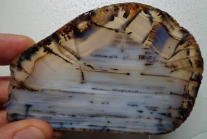 WRG- Montana Agate Slab 90 grams Lapidary Old Stock - Picture 1 of 5