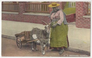 1913 Black African American Woman & Goat Cart - Norfolk, Virginia Postcard - Imagen 1 de 2