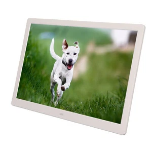 EU Plug Digital Photo Frame 15.4in 1080P HD Video Stereo Music Calendar Alar Hot - Foto 1 di 12