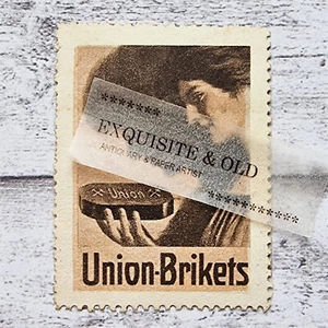 Union Brikets Kohle Hausfrau Heizen Haushalt Werbung alt Reklamemarke Vintage - Picture 1 of 2