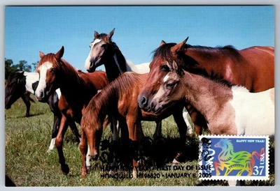 3895g Chinese Lunar New Year Horse FDC Maxi Card - Image 1 of 2