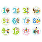  12 Pcs Newborn Stickers Monthly Milestone Label Baby Decal Decor Decorate