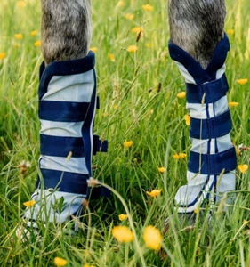 Horseware Newmarket Fly Boots 2er Set - Whitney Navy - Bild 1 von 2