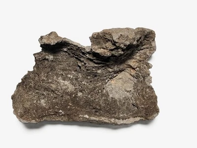 Roca de encaje natural/roca volcánica X-grande– piedras porosas únicas para acuarios Foto 1 de 4