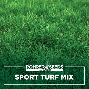 Sport Turf Rye Grass Seed Blend - Picture 1 of 19