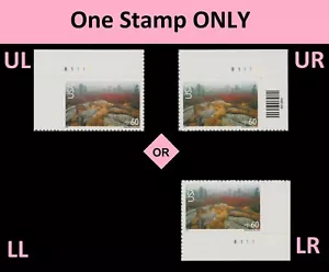 US C138 Airmail Acadia National Park 60c plate single B1111 MNH 2001 - Picture 1 of 2