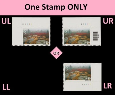 US C138 Airmail Acadia National Park 60c plate single B1111 MNH 2001 - Image 1 of 2