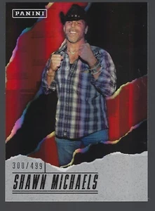 2017 Panini Father's Day #SM Shawn Michaels 300/499  - Bild 1 von 1