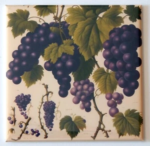 Purple Grapes FRIDGE MAGNET sign advertisement "style B" - Picture 1 of 3