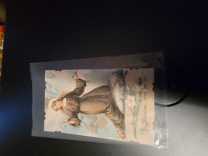 Antique St. Rosalina pray for us prayer card