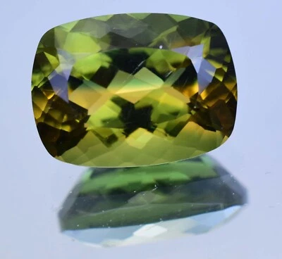 Natural Bi-Color Tourmaline 12.40 Ct Cushion Cut Rare Certified Loose Gemstone - Image 1 of 4