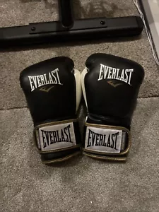 Everlast Powerlock 16oz Sparringhandschuhe - Bild 1 von 5