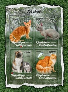 Cats Minskin Exotic Shorthair  MNH Stamps 2018 Central African Republic M/S - Picture 1 of 1