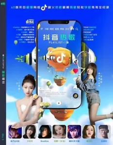 抖音热门 40 Chinese Tik Tok Hottest Playlist 2CD 可能是风太大了吧 舍不得又如何 愿某人 Original Vocal - Picture 1 of 6