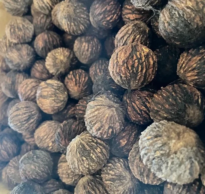 30 nueces negras orgánicas de Wisconsin de 1 libra libra entera con caparazón probadas con flotador Foto 1 de 1