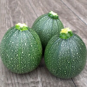 1/4 Lb Round Zucchini Summer Squash Seeds - Everwilde Farms Mylar Seed Packet - Picture 1 of 2